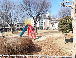 近隣の公園